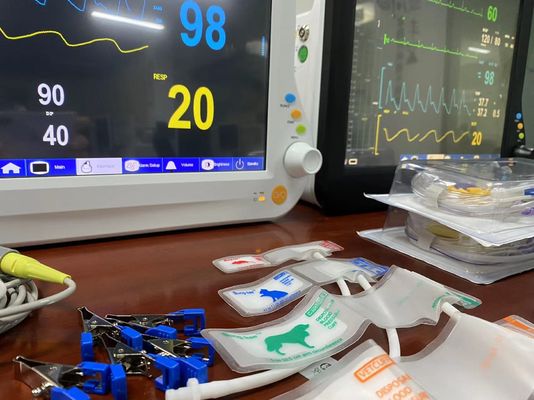 1024X768 LCD κτηνιατρική πολλαπλή παράμετρος οθόνη, ζωτικής σημασίας συσκευές παρακολούθησης με 15 ίντσες